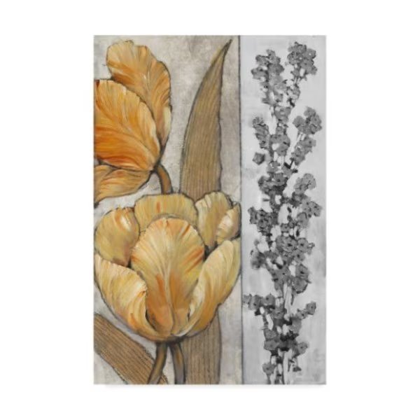 Tim Otoole 'Ochre & Grey Tulips Iii' Canvas Art, 30x47, Trademark Fine Art, Mfr#: WAG08858-C3047GG